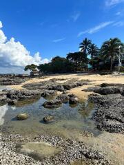 Serene beachfront with rocky shores and lush greenery