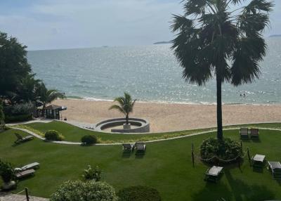 Beachfront garden with palm tree and lounge chairs