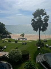 Beachfront garden with palm tree and lounge chairs