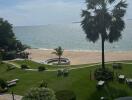 Beachfront garden with palm tree and lounge chairs