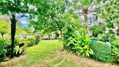 Lush green garden with various plants outside a house