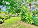 Lush green garden with various plants outside a house