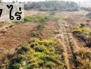 Aerial view of a vacant land with sparse vegetation and a dirt path