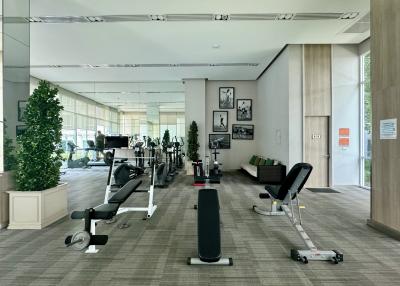 Modern gym facility inside a building with exercise equipment and natural lighting