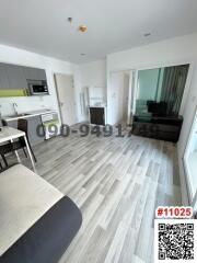 Modern studio apartment interior with open kitchen, living and sleeping area