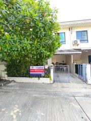 Front view of a residential building with a gate and large tree