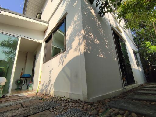 Contemporary home exterior with large windows and garden