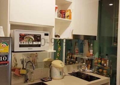 Compact modern kitchen with appliances and shelving