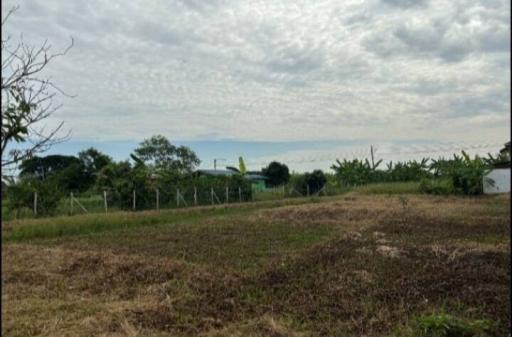 Spacious outdoor area with greenery and cloudy sky