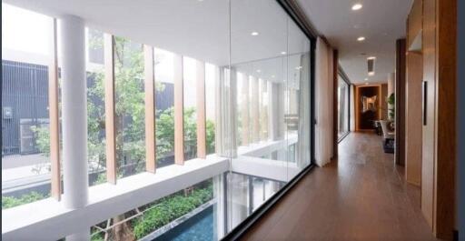 Modern hallway with floor-to-ceiling windows and hardwood floors