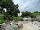 Rural outdoor space with trees and old structures