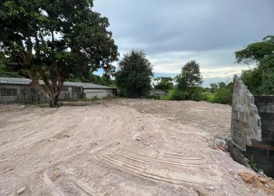 Empty plot of land with tire tracks and surrounding vegetation