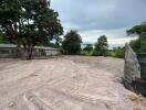 Empty plot of land with tire tracks and surrounding vegetation