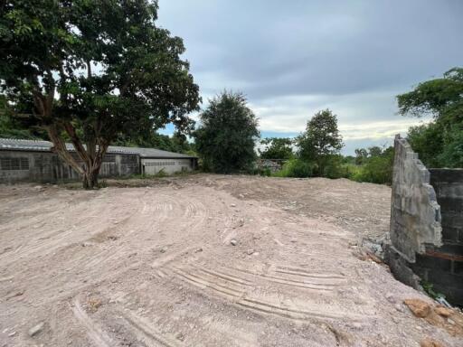 Empty plot of land with tire tracks and surrounding vegetation