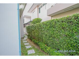 Narrow outdoor space with a path and a hedge alongside a building