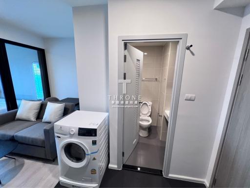 Modern apartment interior showing a combination of living room with a grey sofa and a bathroom entrance with a white door