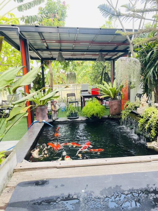 Cozy backyard with a koi pond and lush greenery