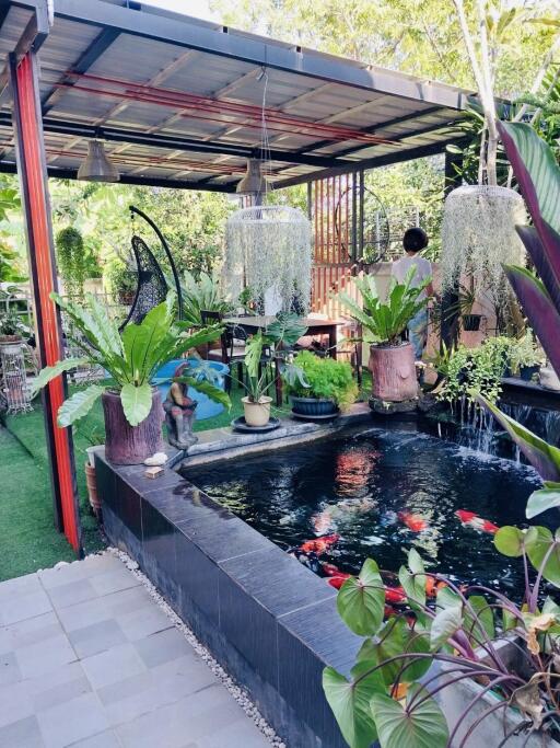 Lush garden patio with koi pond and decorative plants