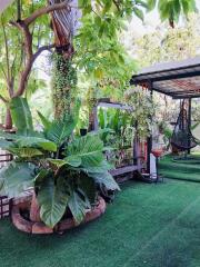 Lush green residential garden with swing and decorative plants