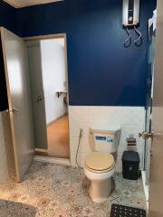 Compact bathroom with blue and white walls and patterned floor tiles