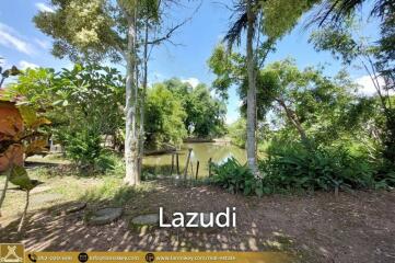 House for Sale Surrounded by Rice Fields View