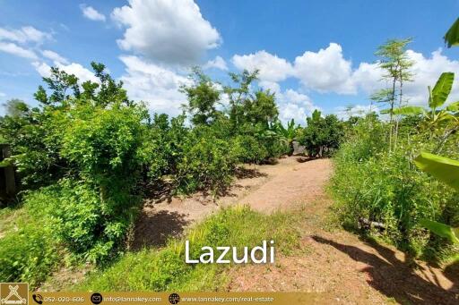 House for Sale Surrounded by Rice Fields View