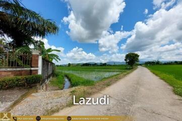 House for Sale Surrounded by Rice Fields View