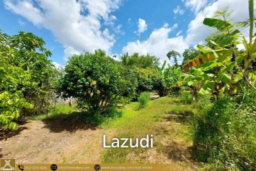 House for Sale Surrounded by Rice Fields View