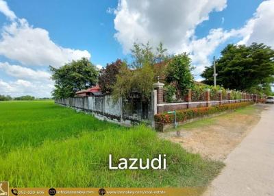 House for Sale Surrounded by Rice Fields View