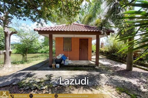 House for Sale Surrounded by Rice Fields View