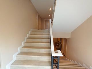 Bright and Modern Staircase Connecting Floors