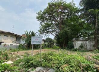 Vacant land plot with overgrown vegetation and surrounding buildings