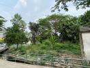 Lush green outdoor area with trees and plants near a building