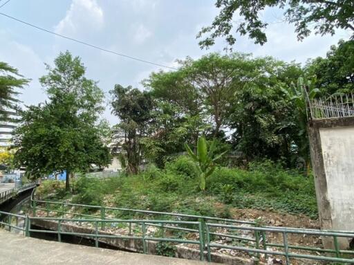 Lush green outdoor area with trees and plants near a building