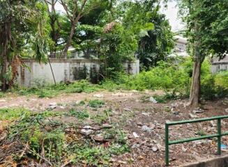 Overgrown garden with fence and surrounding greenery