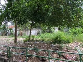 Overgrown lot with trees and debris behind a metal fence