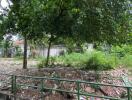 Overgrown lot with trees and debris behind a metal fence