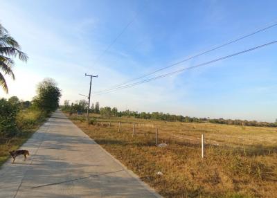 Empty lot with potential for development next to a road under a clear sky