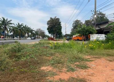 Vacant land with overgrown grass along a roadside with palm trees and power poles
