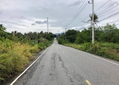 Paved road in a rural setting with lush greenery and overcast sky