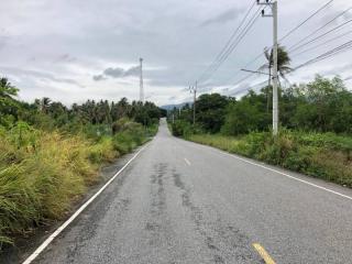 Paved road in a rural setting with lush greenery and overcast sky