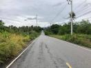 Paved road in a rural setting with lush greenery and overcast sky