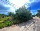 Paved road leading through a suburban area with greenery and power lines