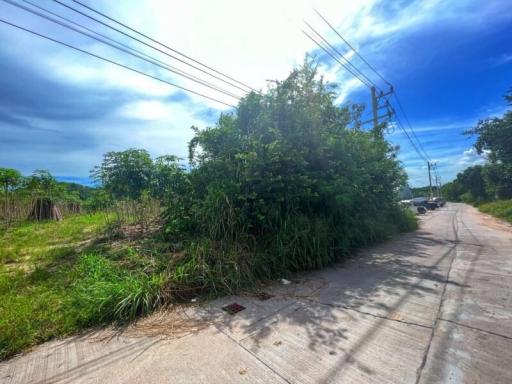 Paved road leading through a suburban area with greenery and power lines