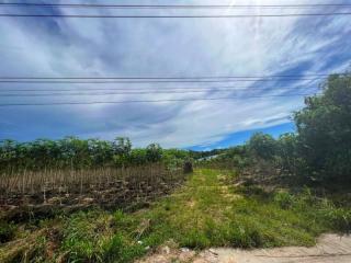 Vacant land under a blue sky with clouds, surrounded by greenery