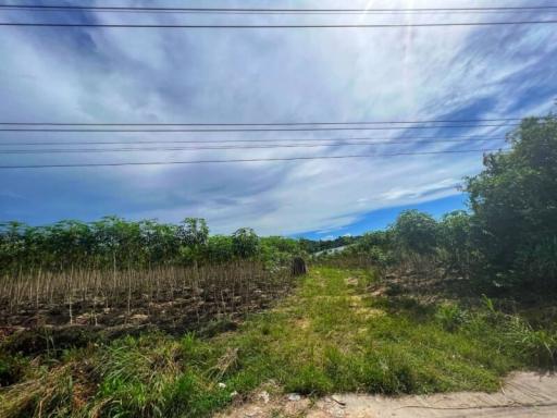 Vacant land under a blue sky with clouds, surrounded by greenery