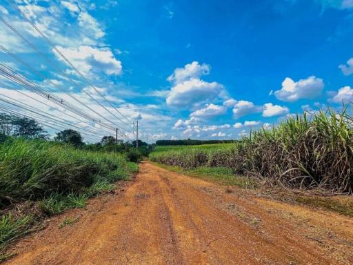 Dirt road leading through a rural landscape with open fields under a blue sky with clouds