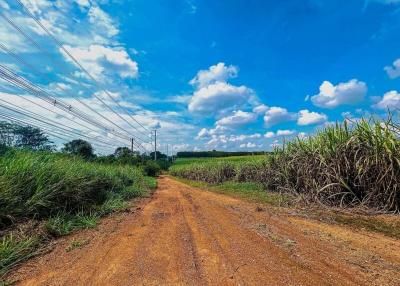 Dirt road leading through a rural landscape with open fields under a blue sky with clouds