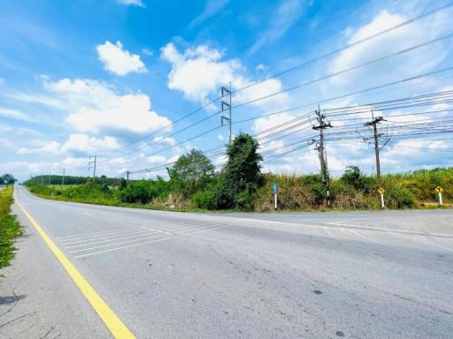 Paved road with surrounding greenery under a clear blue sky