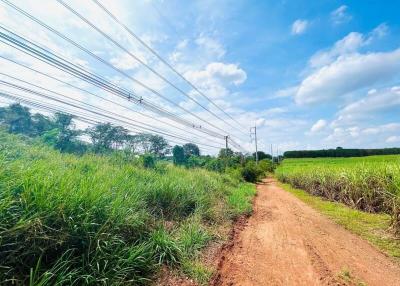 Rural dirt road with electrical power lines and lush greenery under a clear blue sky